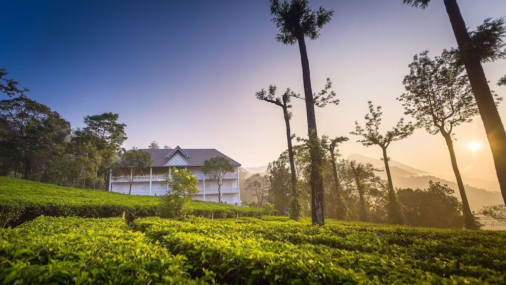 Tea Harvester 1