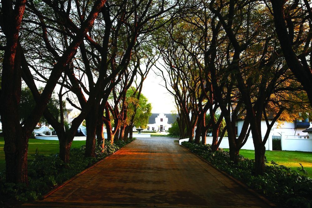 Kievits Kroon Gauteng Wine Estate 1