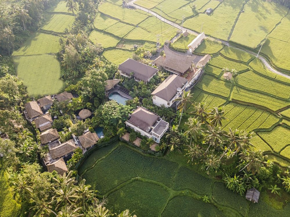 The Sun of Granary Resort and Villas 1