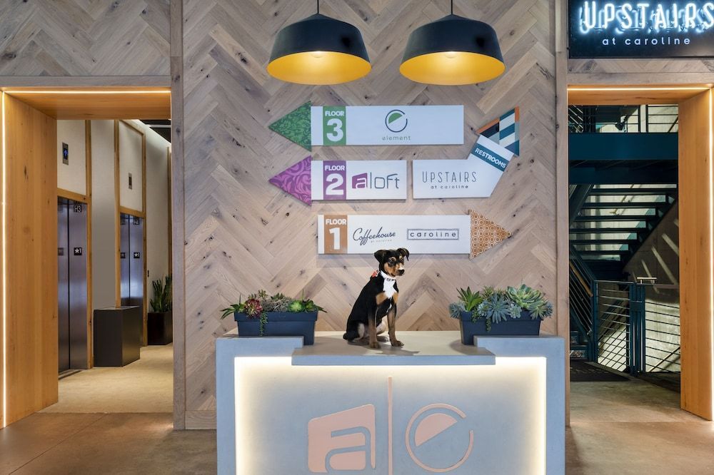 Aloft by Marriott Austin Downtown 2