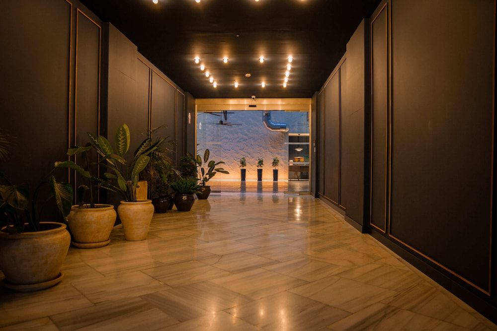 Letoh Letoh Sevilla 2