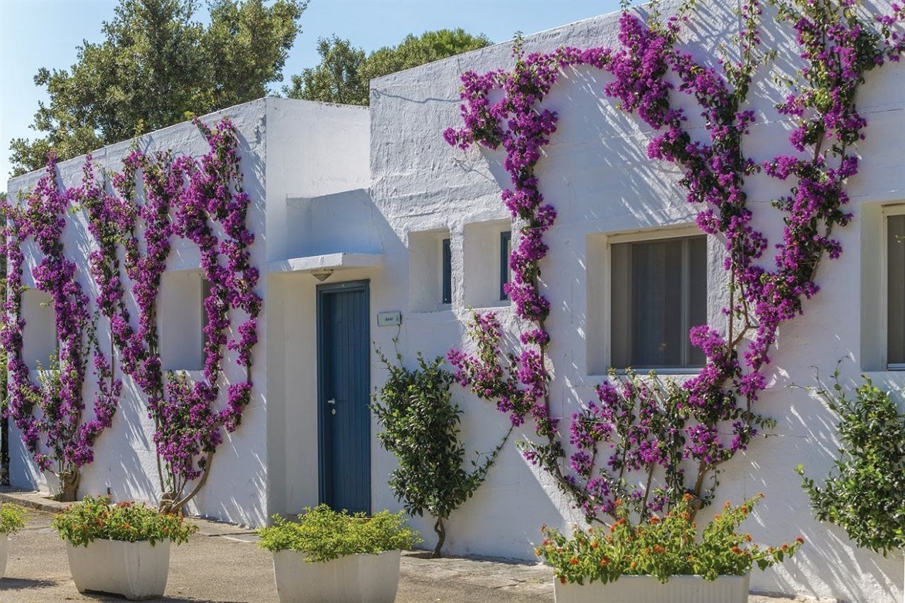 Th Ostuni 1