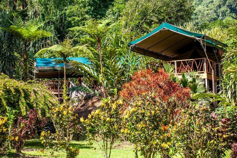 Rafiki Safari Lodge 2