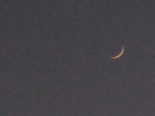 7 Moons B&B 2