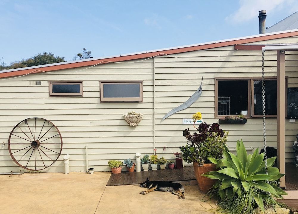 Port Campbell Guesthouse & Flash Packers 2