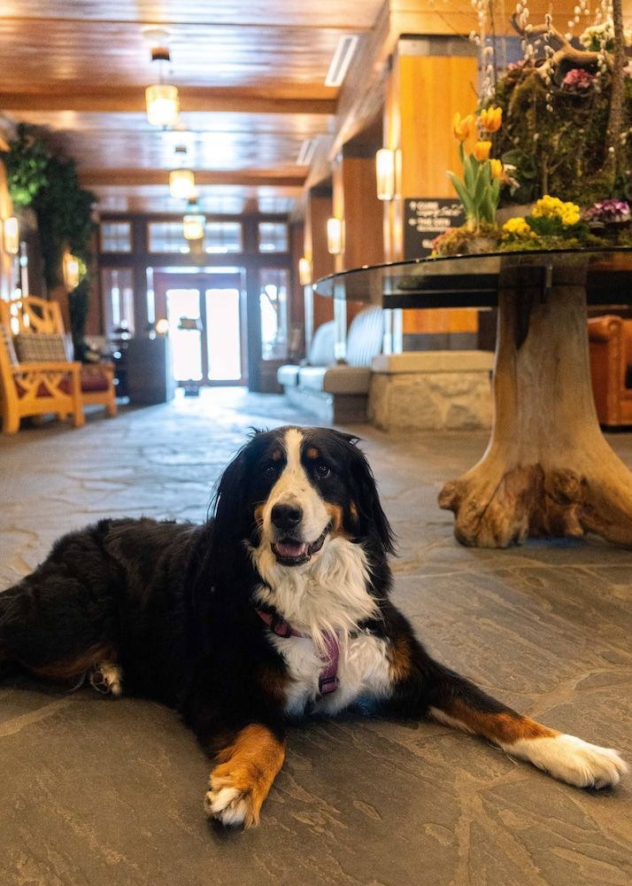 Nita Lake Lodge 2