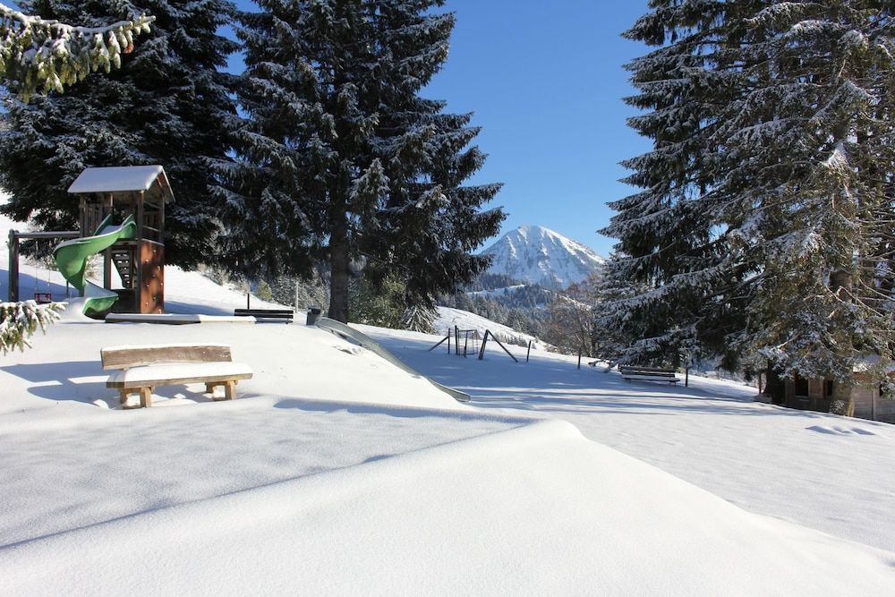 Leysin Lodge 1