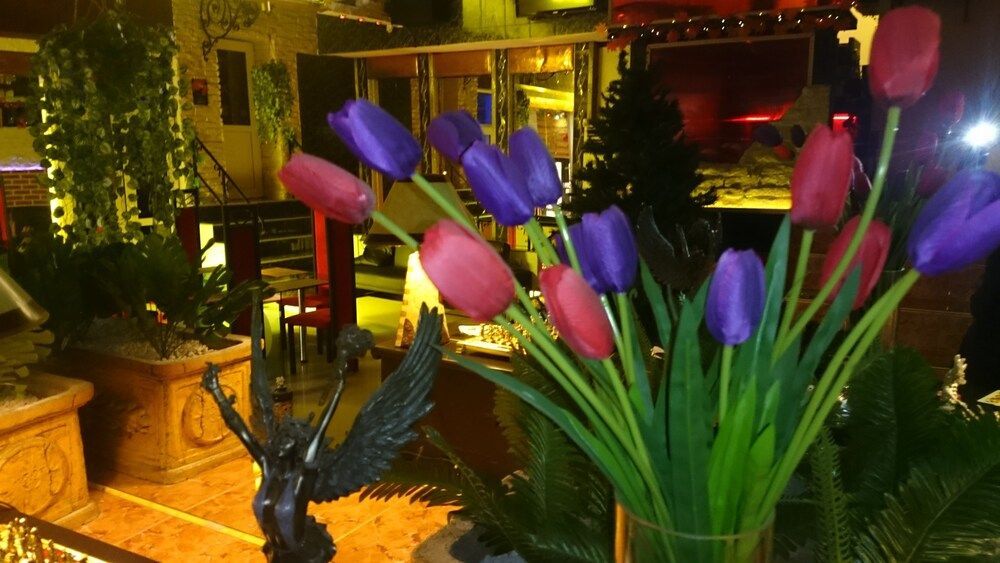 Rimini Club Inn & Suites 2