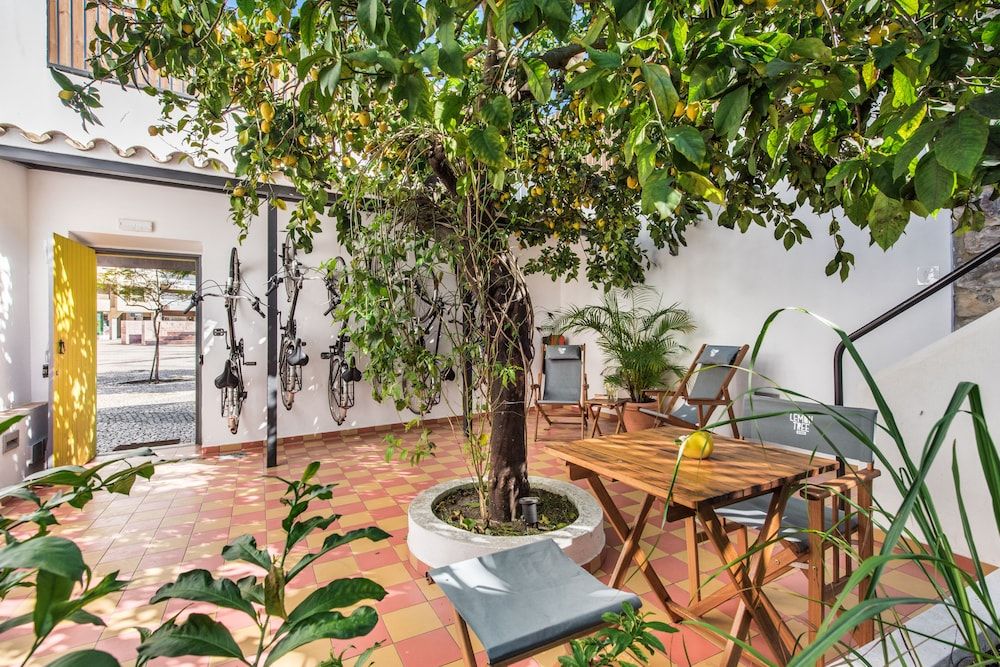 Lemon Tree Stay 1