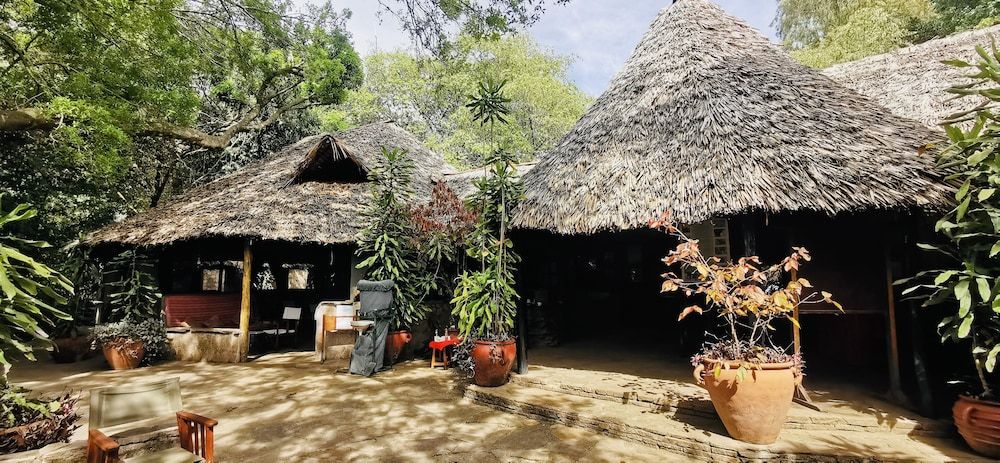 Fig Tree Camp 2