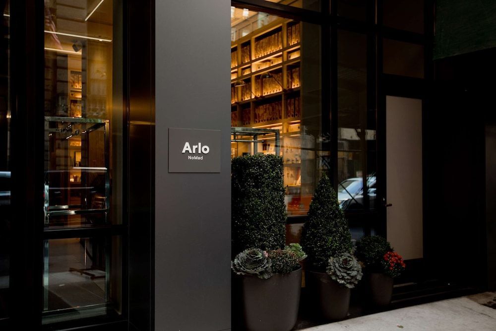 Arlo NoMad 1