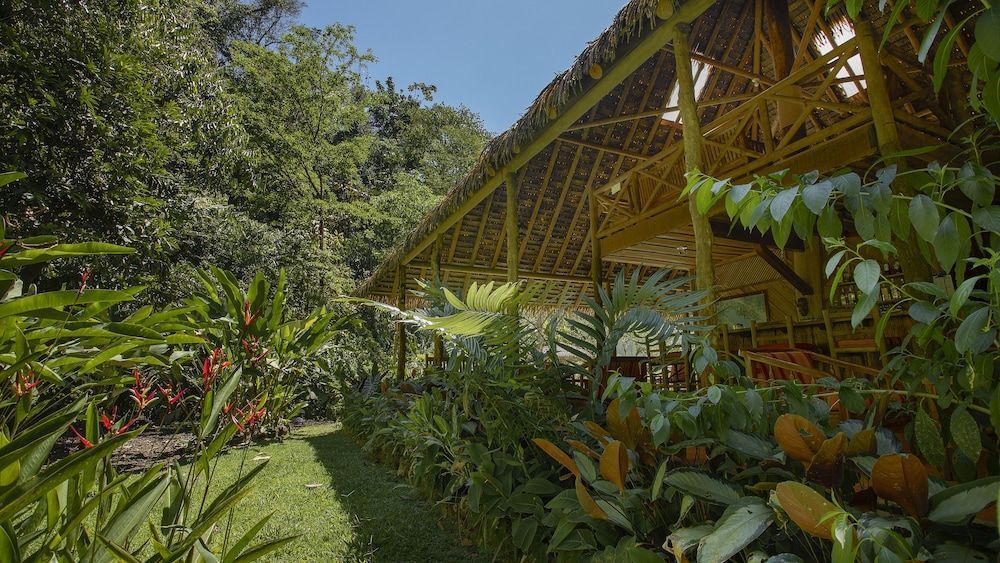 Esquinas Rainforest Lodge 2