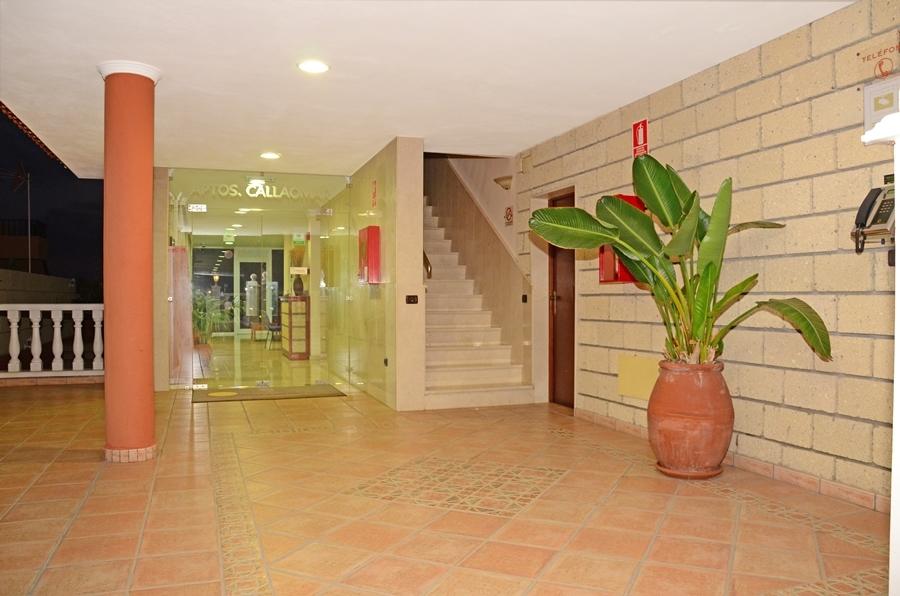 Callaomar 2
