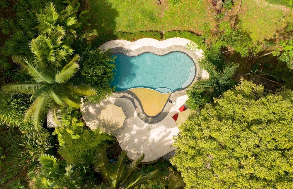 La Ponderosa 1
