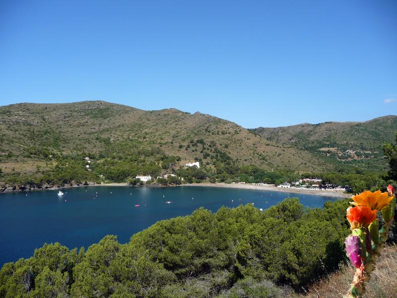 CAMPING CALA MONJOI 1