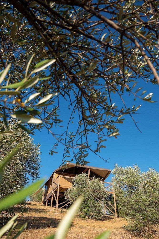 Glamping Podere San Jacopo 1