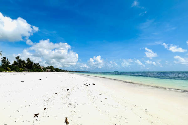 Palumbo Mnemba View Resort 1