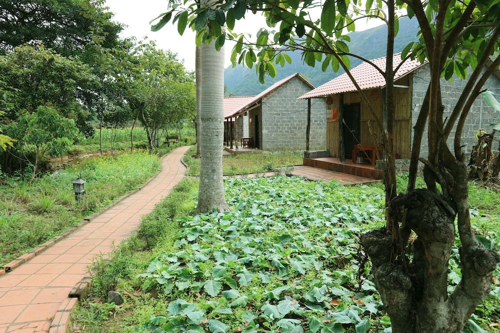 Viet Hai Lan Homestay 2