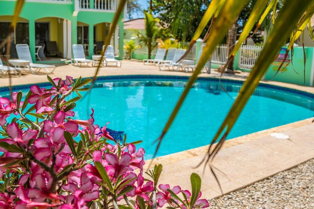 Coral Paradise Resort 1