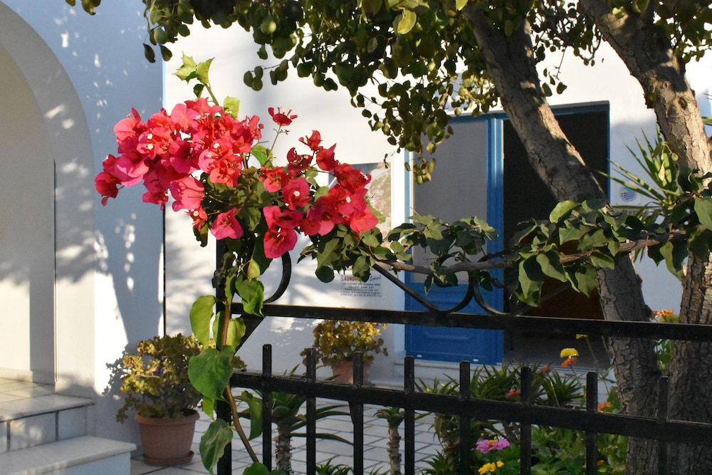 Dedalos Studios Naxos 2