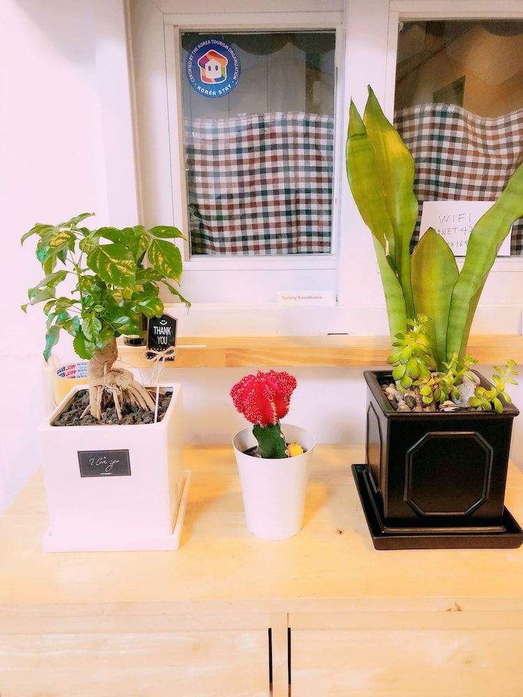 Sarang Guesthouse Dongdaemun 2