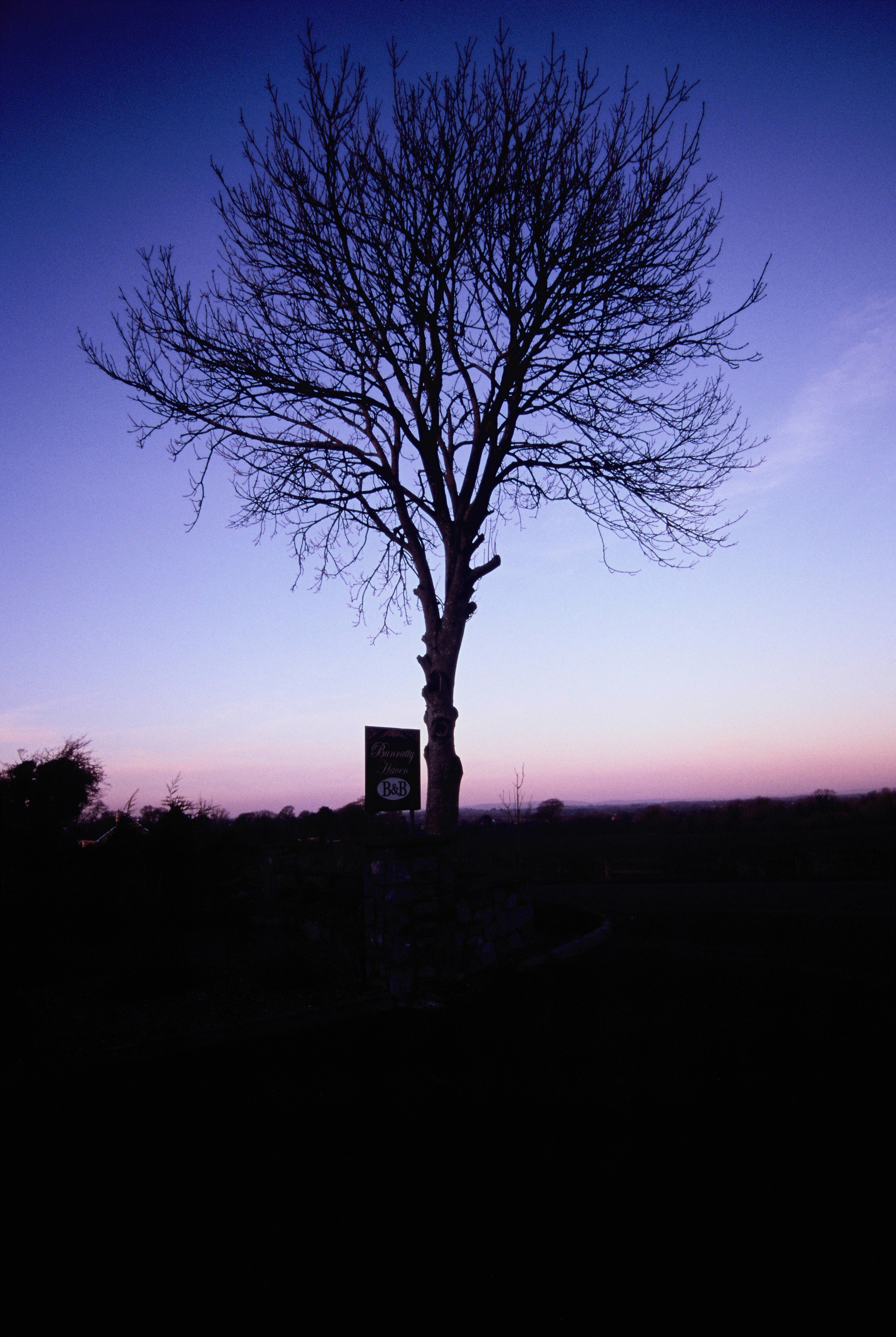 Bunratty Haven Bed & Breakfast 1