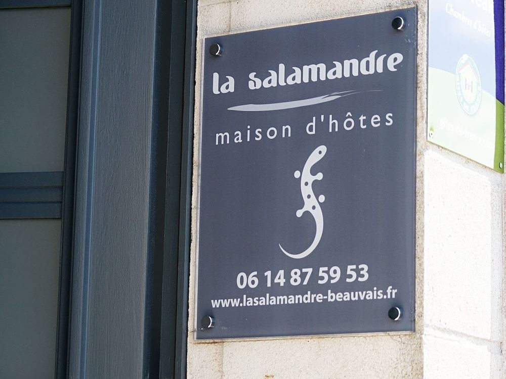 La Salamandre 2
