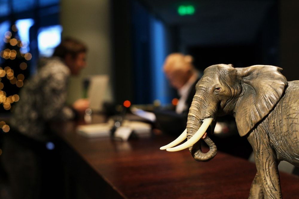 Rixwell Elefant Hotel 2