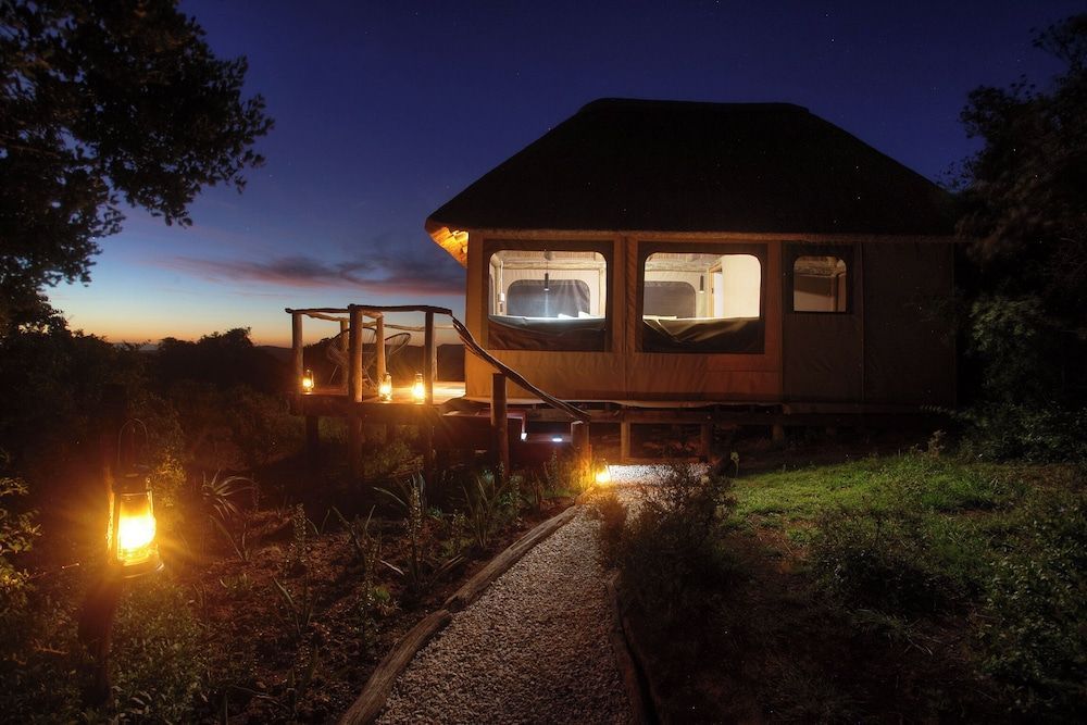 Addo Elephant Safari Lodge - Bellevue Forest Reserve 1