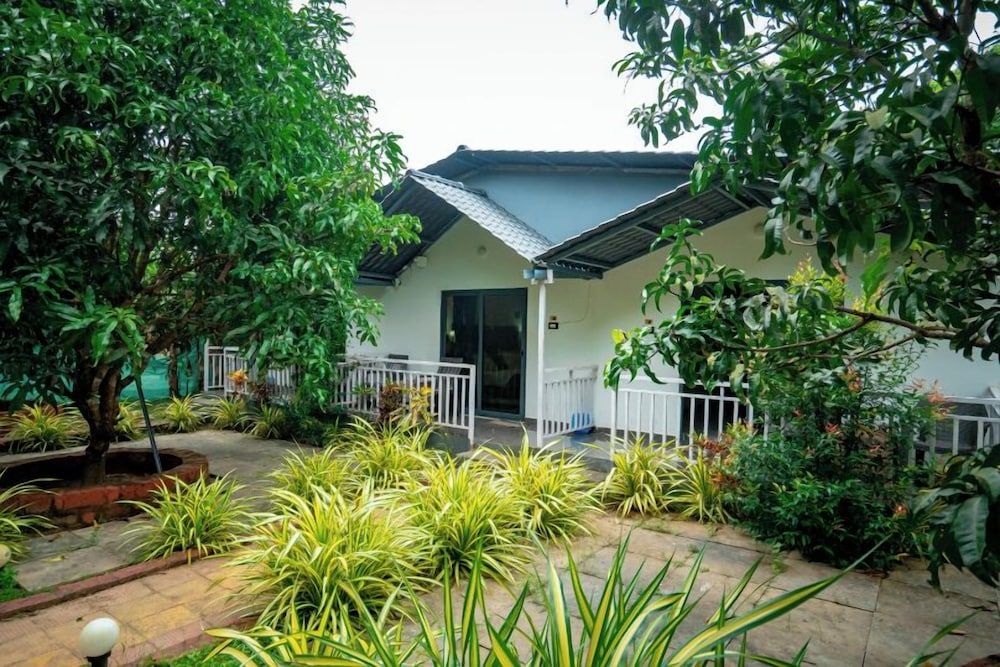 White Truffle Resort, Arambol 2