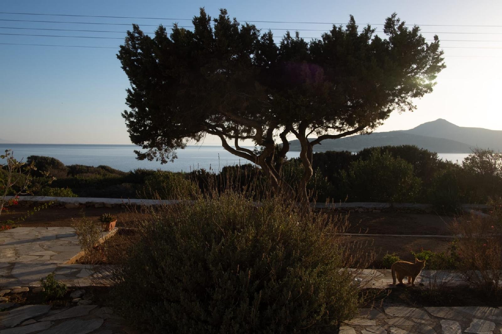 Oliaros Seaside Lodge 1