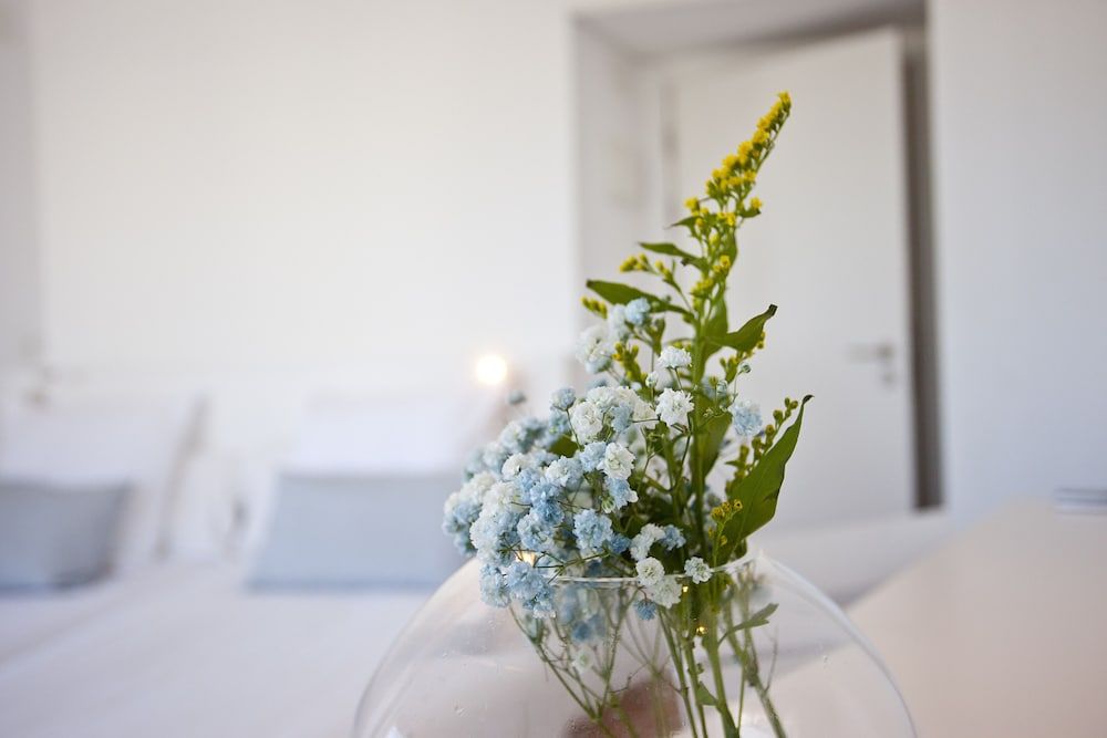 Galaxia Boutique Hotel 2