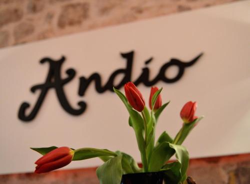 Bed&Breakfast Andio 1