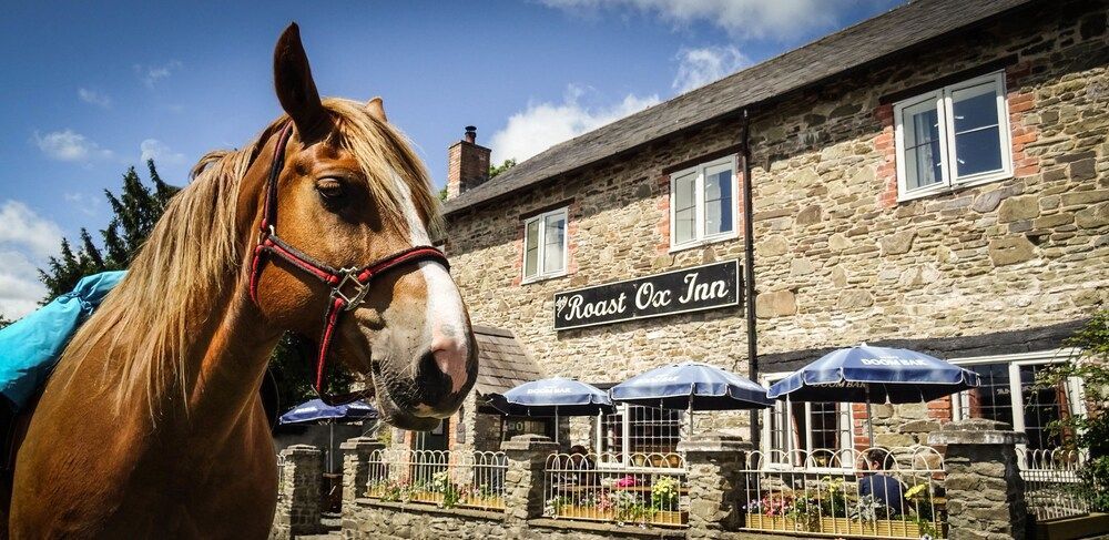 The Roast Ox Inn 1