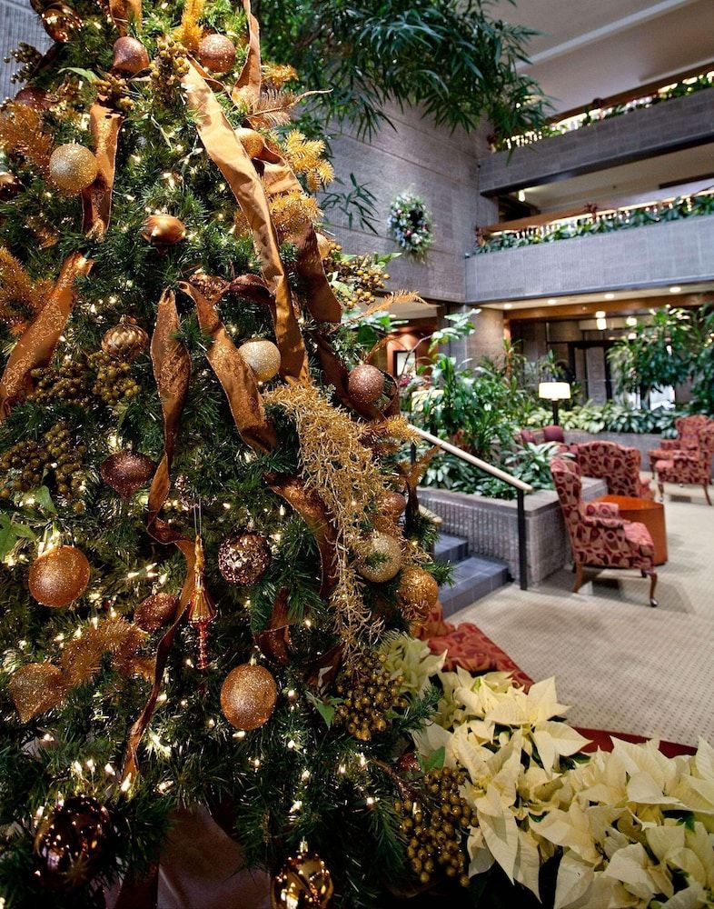 Radisson Hotel Corning 2