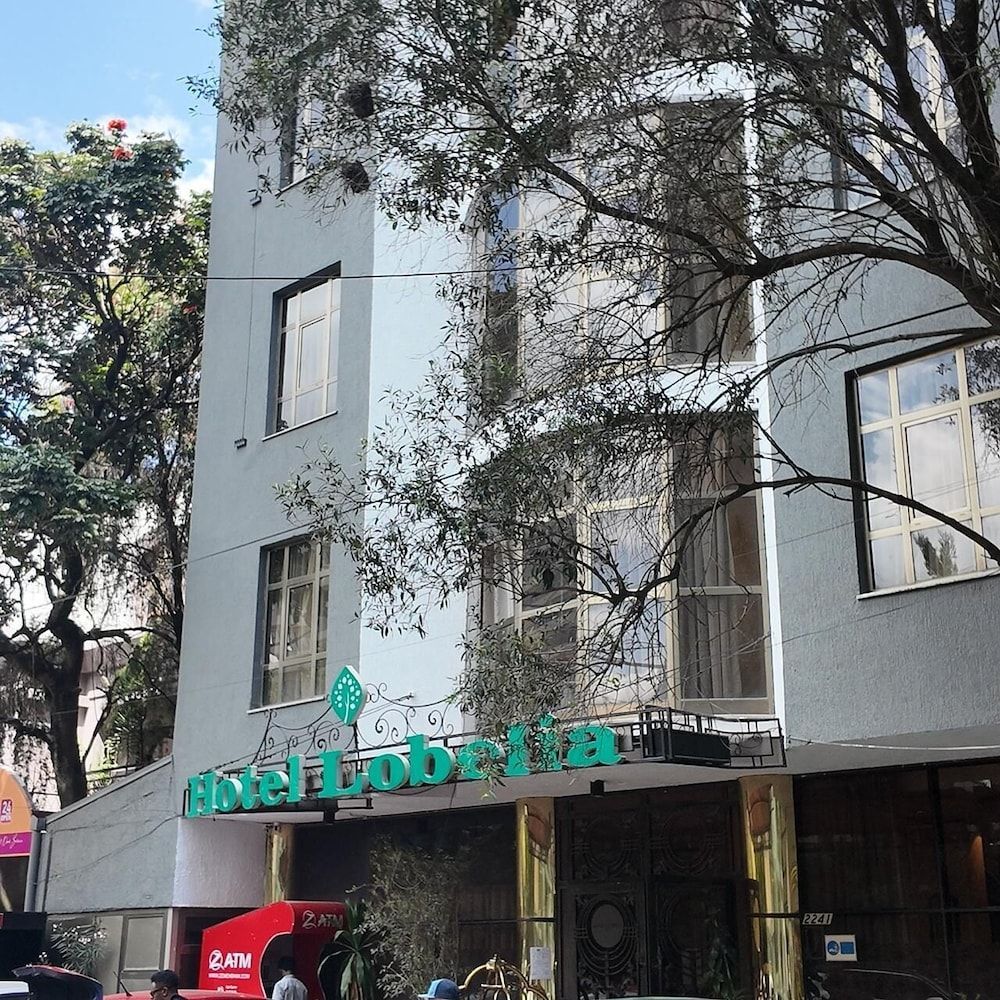 Hotel Lobelia 1