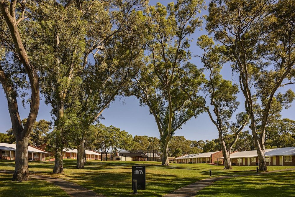 Serafino McLaren Vale 1