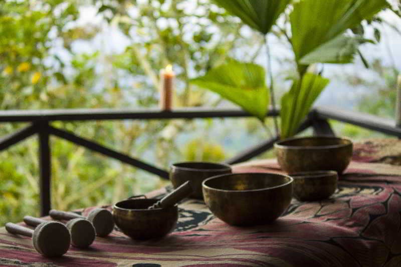 Arenal Waterfall Lodge 1