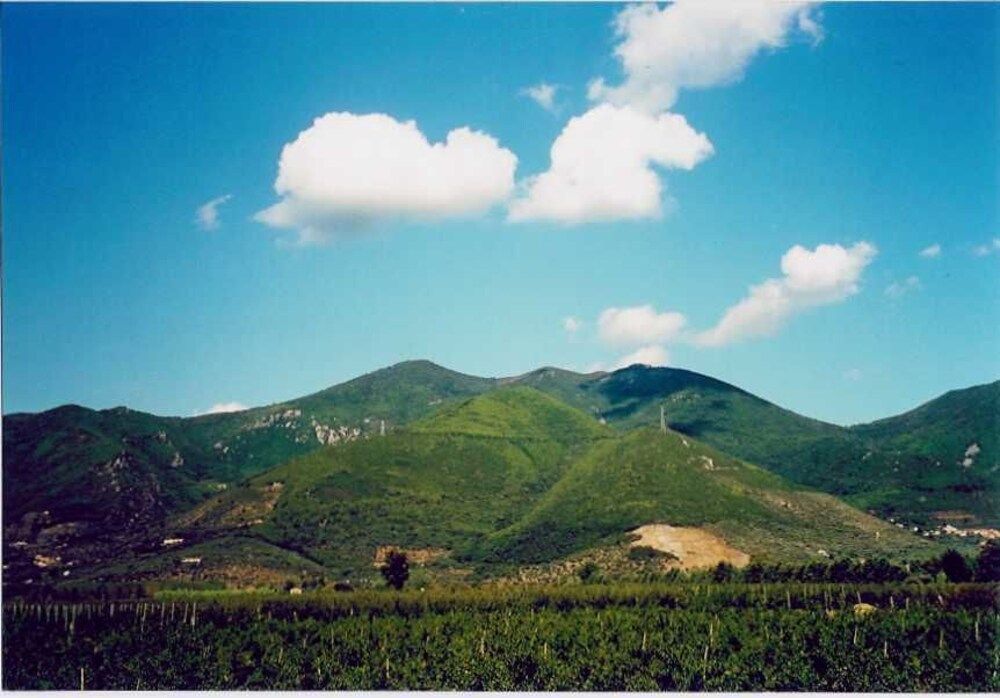 Agriturismo La Pisana 1