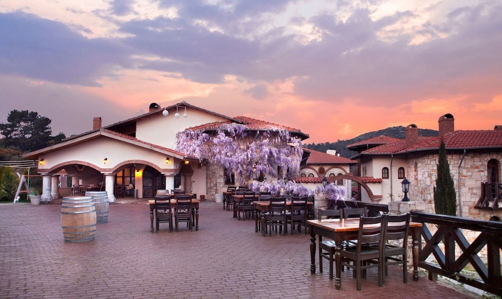 Vinifera Vineyards Hotel 1