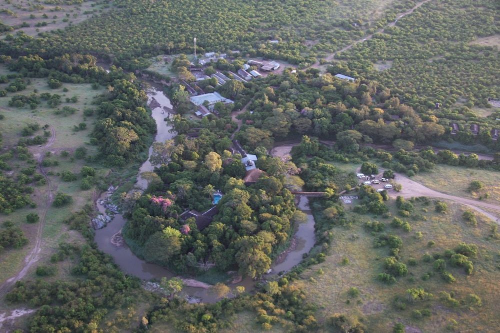 Fig Tree Camp 1