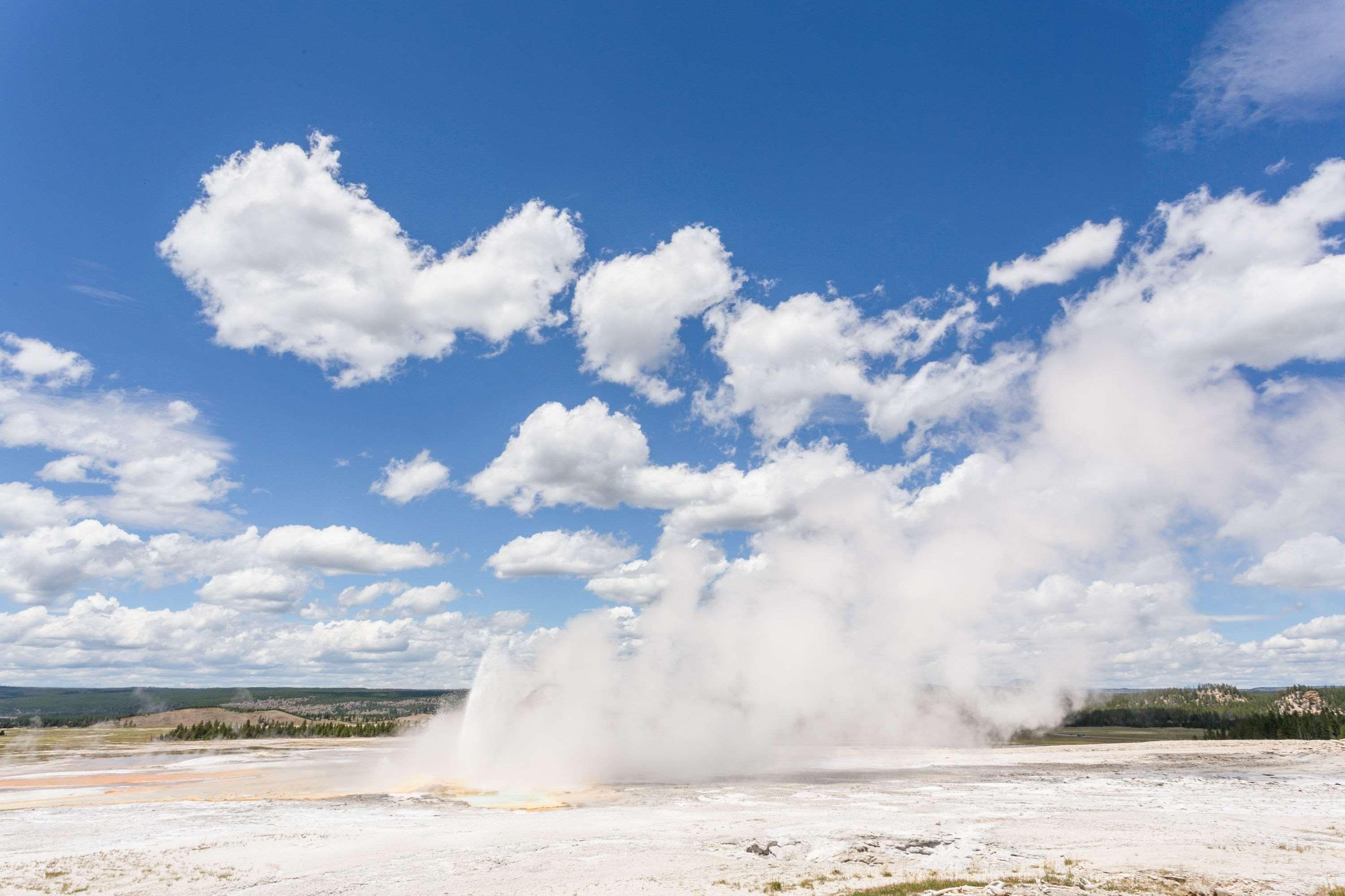 Super 8 by Wyndham Cooke City Yellowstone Park 1