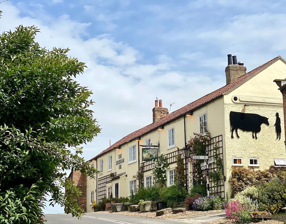 The Durham Ox 1