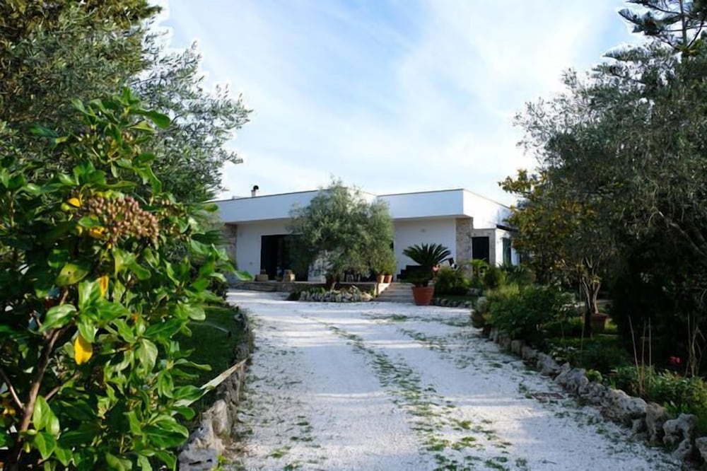 Vacanze al Minci 1