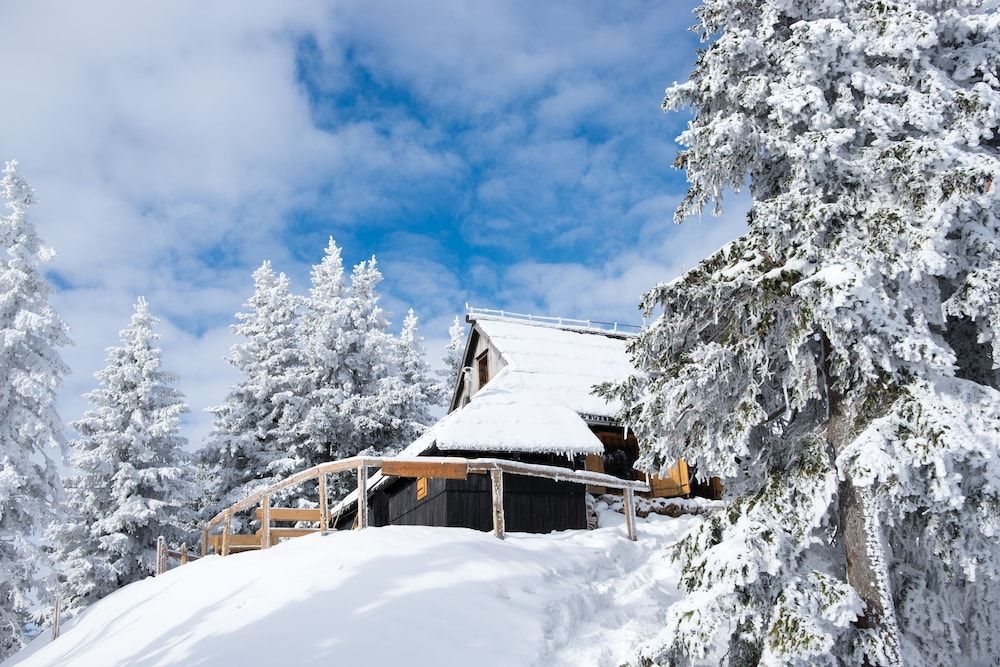 Koča Bistra - Velika planina 2
