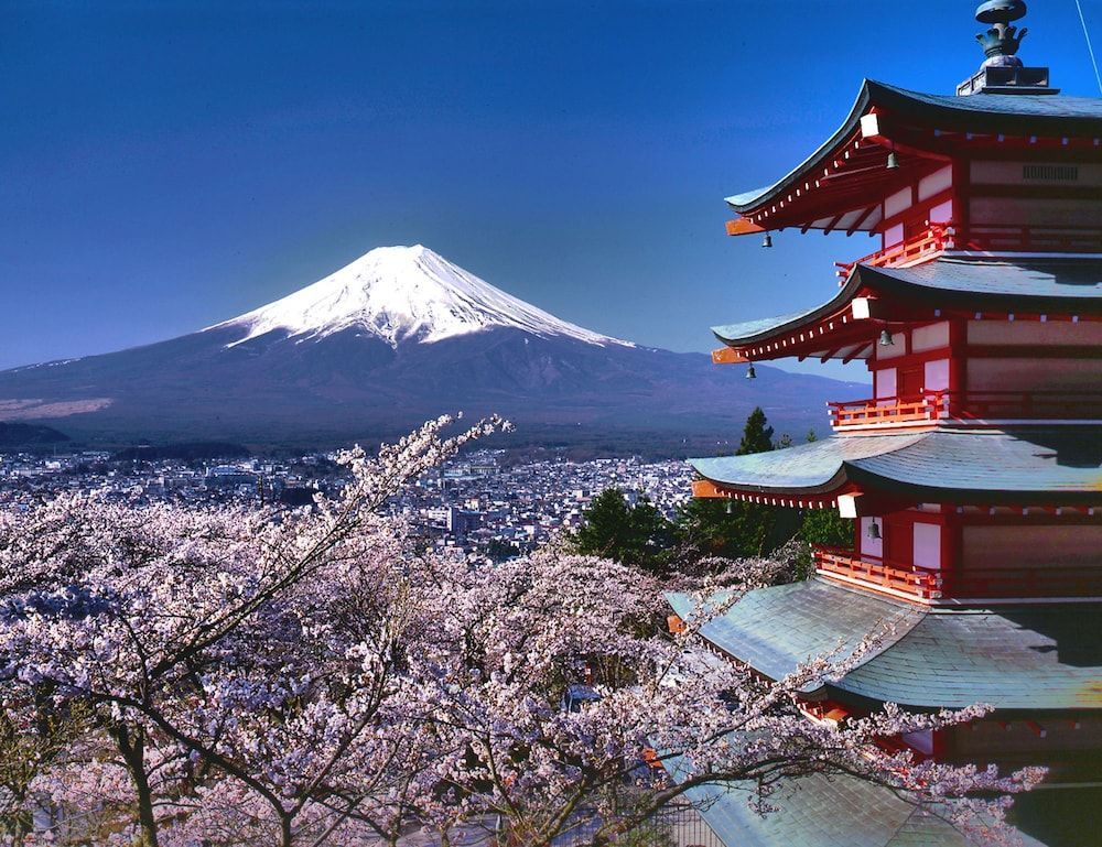 HOTEL MYSTAYS Fuji Onsen Resort 1