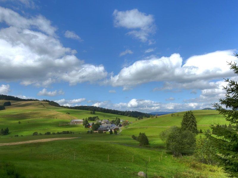derWaldfrieden naturparkhotel 1