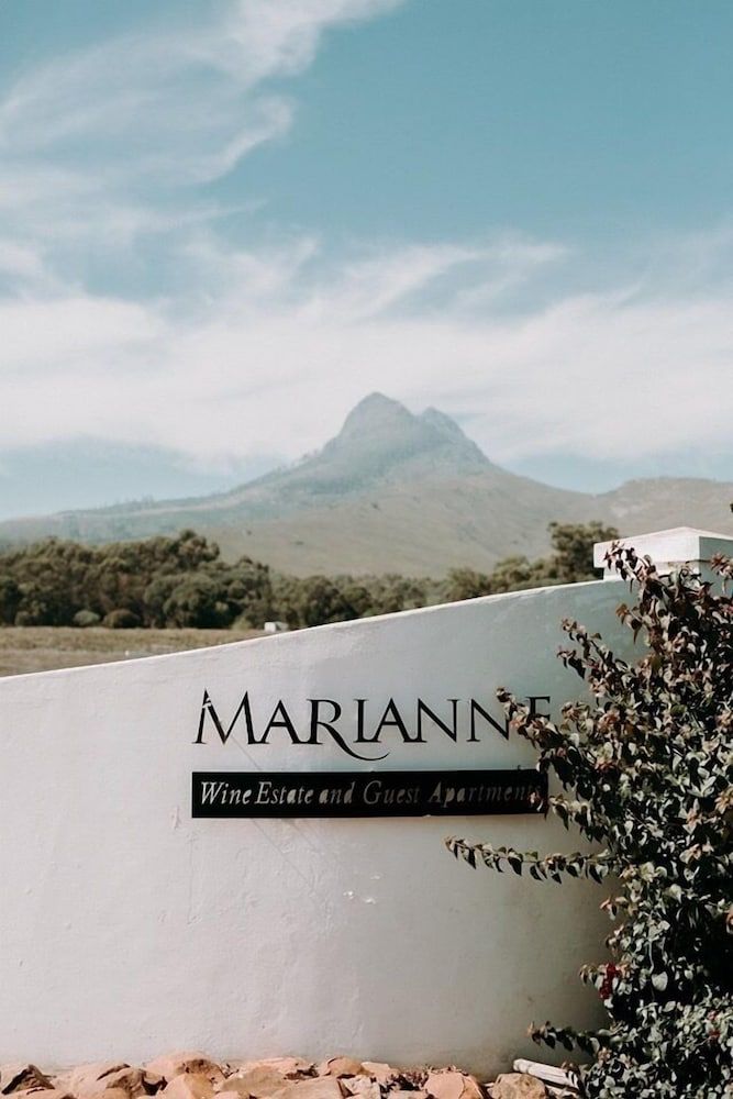 Marianne Wine Estate 1