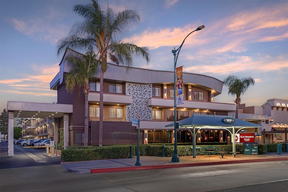 Best Western Plus Park Place Inn - Mini Suites 1