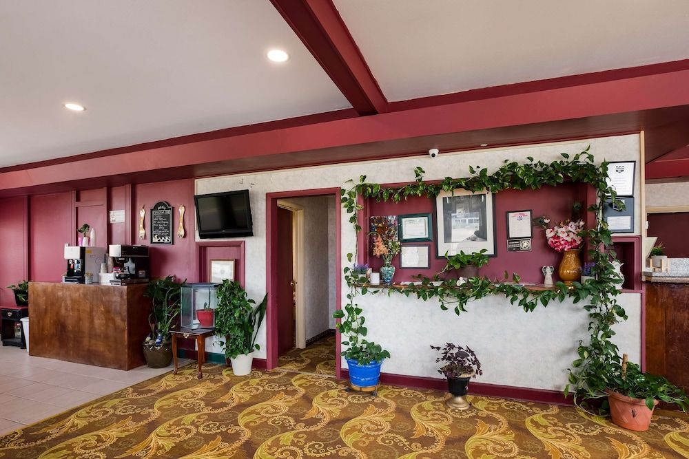 Knights Inn - Fayetteville NC 2